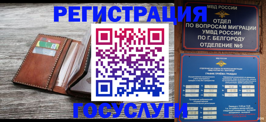 временная регистрация гарантия в Камышлове